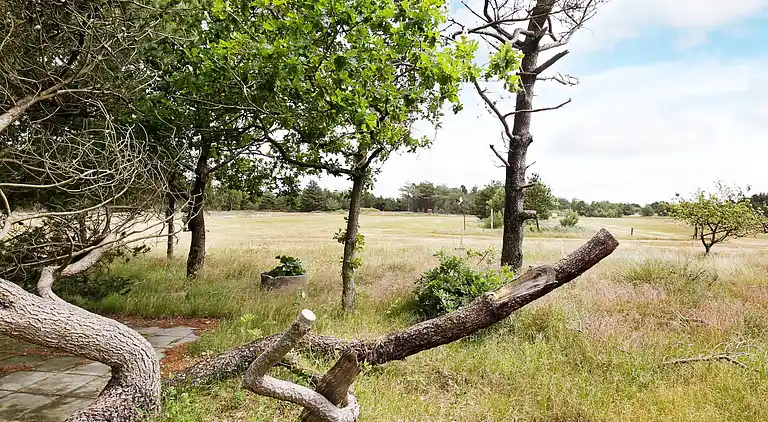 Feriebolig i Blåvand