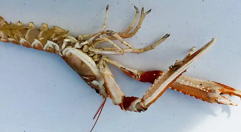 Casa vacanze in Tornes