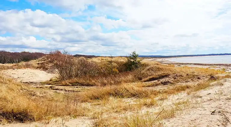 Sommerhus i Halmstad V