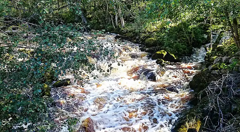 Sommerhus i Trävattna