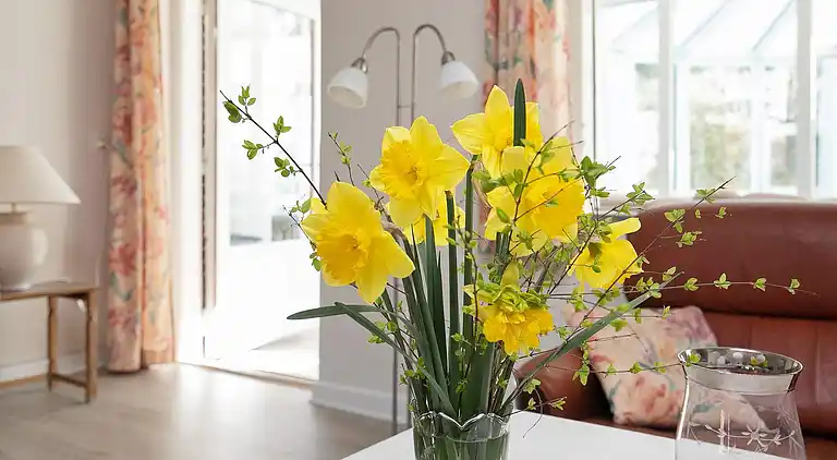 Sommerhus i Tranekær