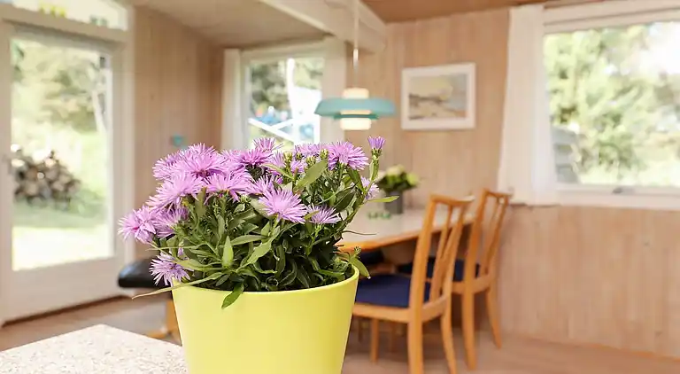 Vakantiehuis in Hirtshals