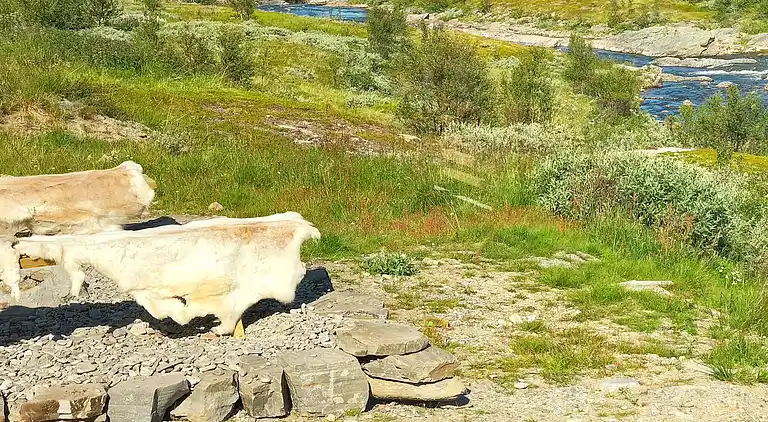 Holiday home in Kvalsund