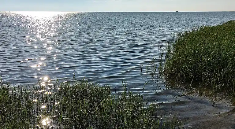 Sommerhus ved Helberskov Strand