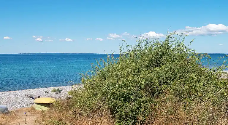 Holiday home in Knebel