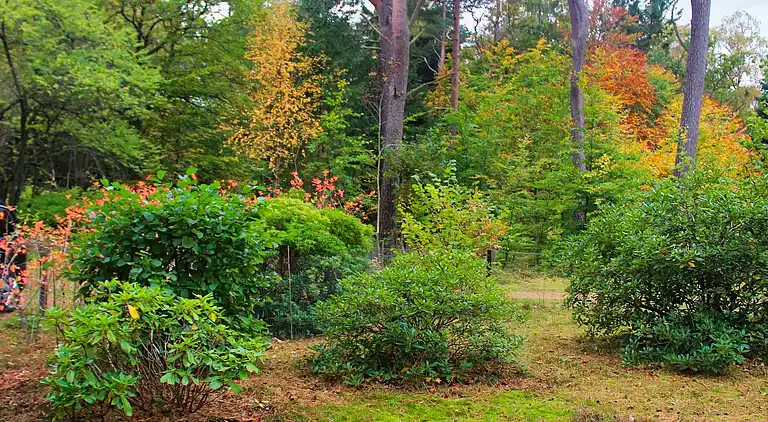 Sommerhus i Gribskov