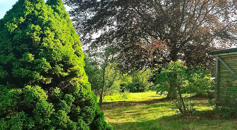 Holiday home in Norrköping NV