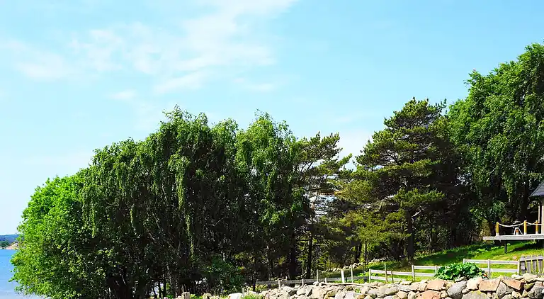 Semesterbostad i Orust