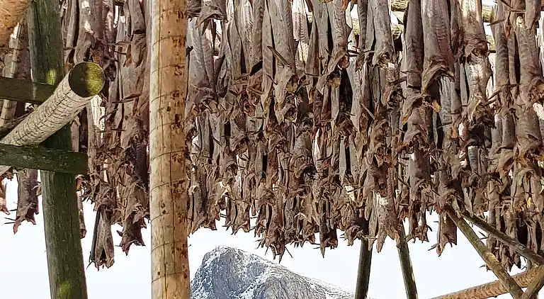 Sommerhus i Flakstad