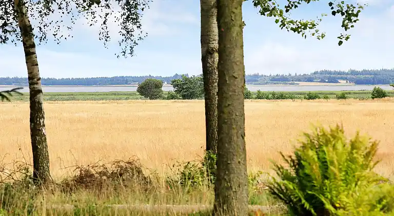 Casa vacanze in Mosevrå