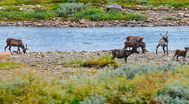 Holiday home in Kvalsund