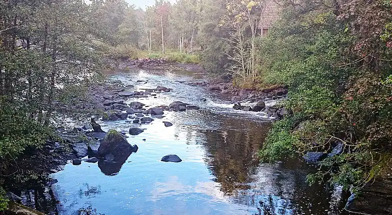 Sommerhus i Trävattna