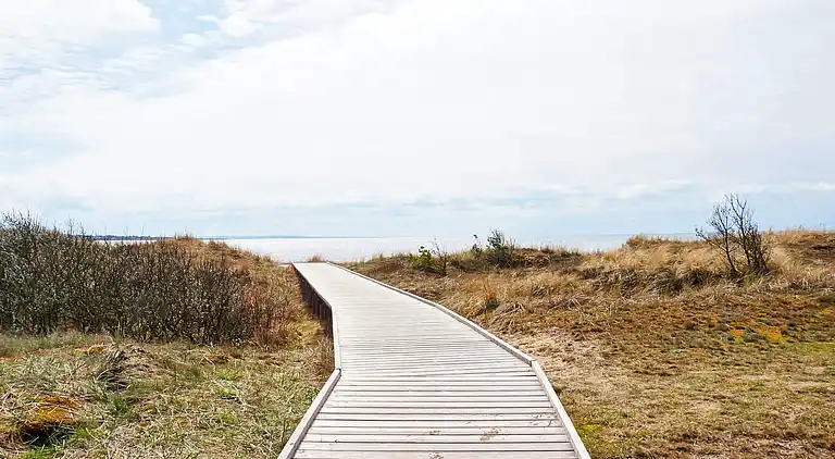 Sommerhus i Halmstad V