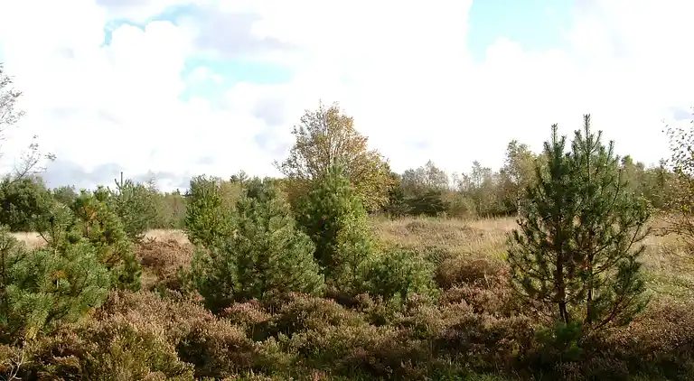 Holiday home in Herning