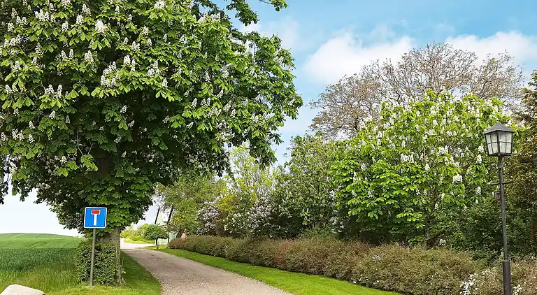 Sommerhus i Tranekær