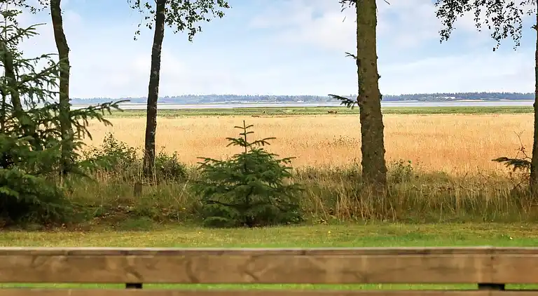 Casa vacanze in Mosevrå