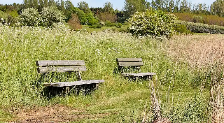 Holiday home in Millinge