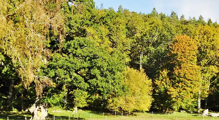 Semesterbostad i Vänersborg