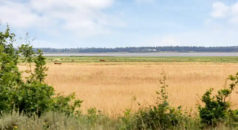 Casa vacanze in Mosevrå