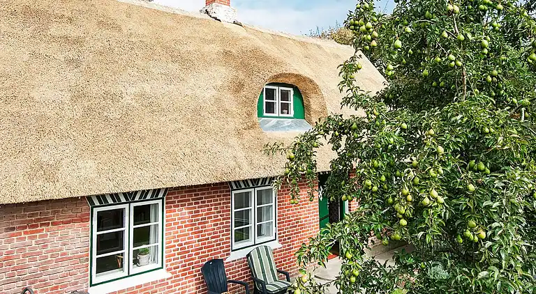 Ferienhaus auf Fanø