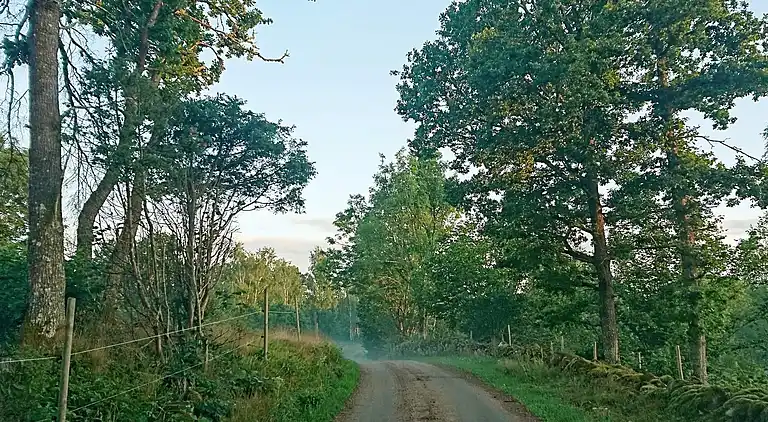 Sommerhus i Trävattna