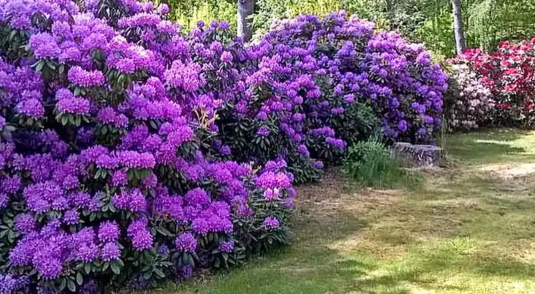 Sommerhus i Gribskov