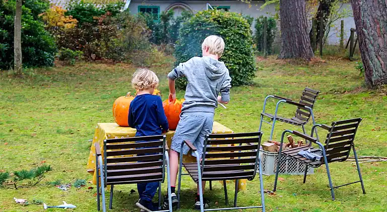 Sommerhus i Gribskov