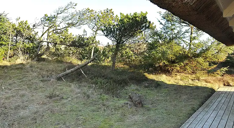 Sommerhus i Hvide Sande