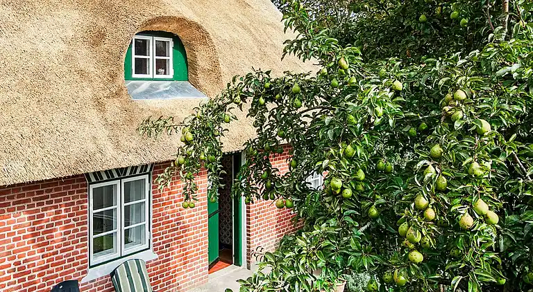 Ferienhaus auf Fanø