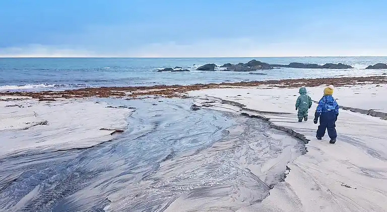 Sommerhus i Flakstad