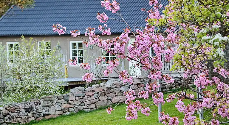 Semesterbostad i Orust