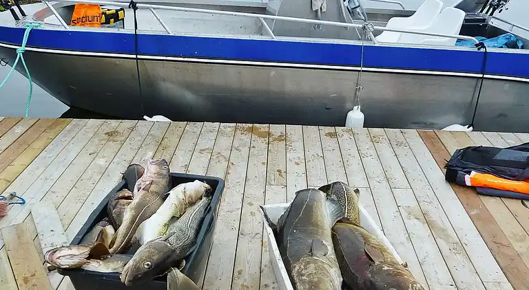 Sommerhus i Vevelstad