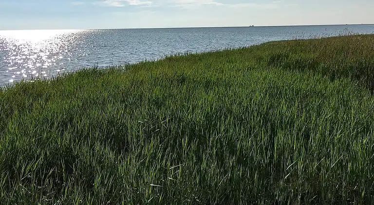 Sommerhus ved Helberskov Strand