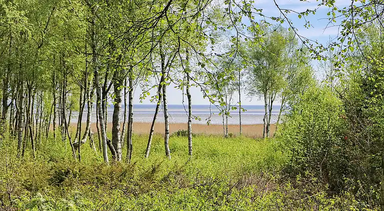Semesterbostad vid Helberskov Strand