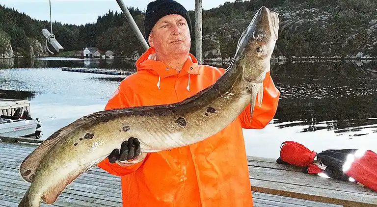Sommerhus i Øklandsvåg