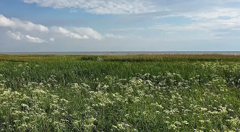 Sommerhus ved Helberskov Strand