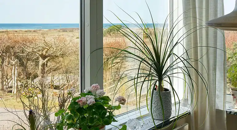 Sommerhus i Falkenberg S