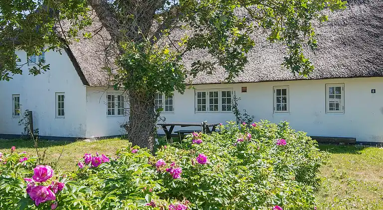 Holiday home in Bredebro