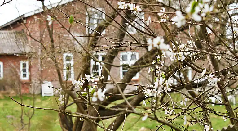 Holiday home in Højer
