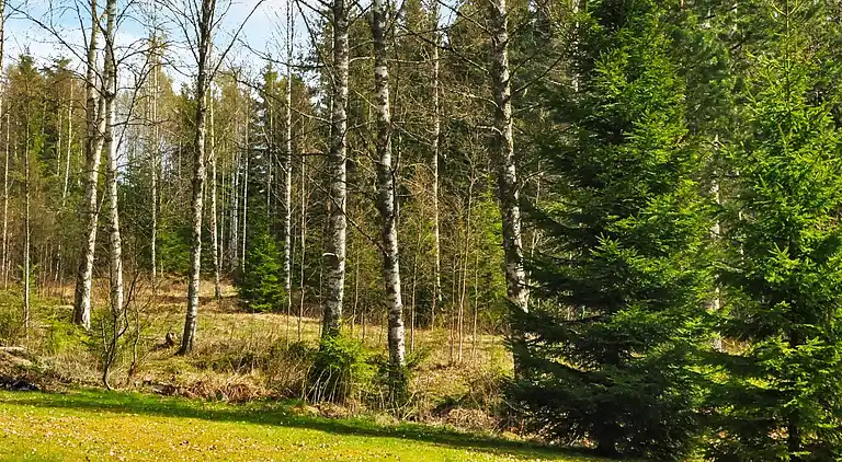 Sommerhus i Arvika Ö