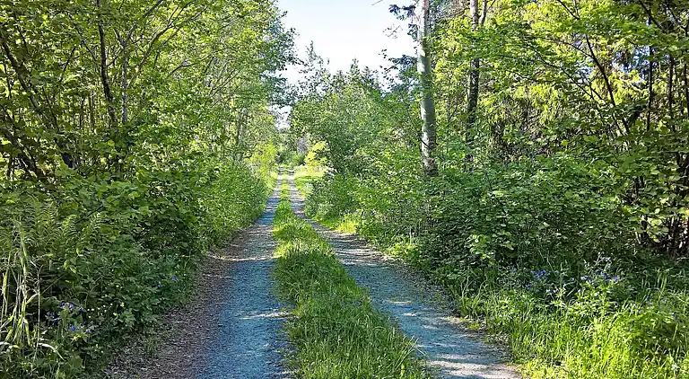 Holiday home in Norrtälje N