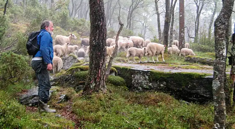 Vakantiehuis in Tysvær