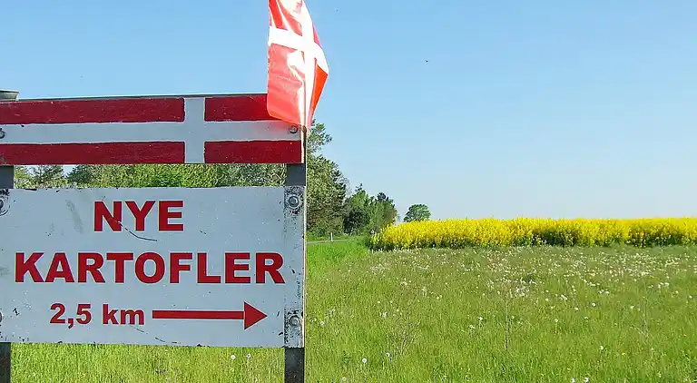 Holiday home in Slagelse