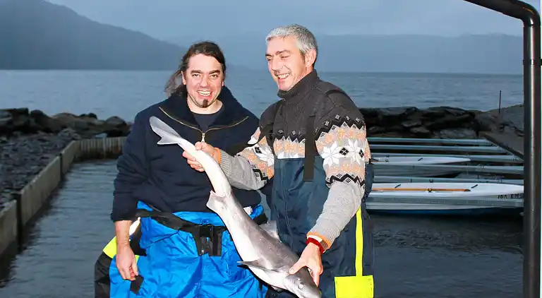 Holiday home in Tysvær