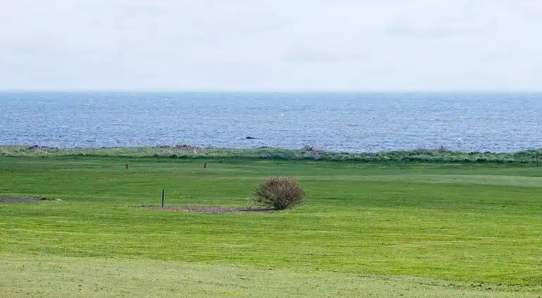 Sommerhus i Trelleborg Ö