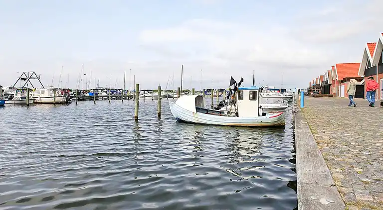 Holiday home in Bork Havn