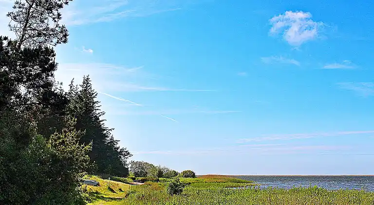 Holiday home in Ulfborg