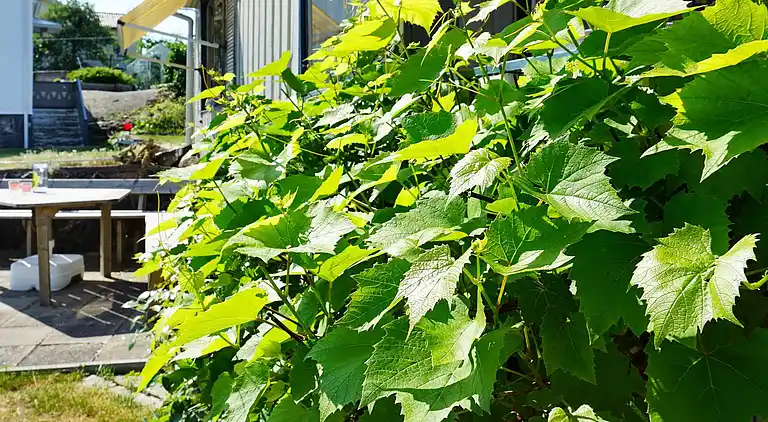 Ferienhaus in Öckerö