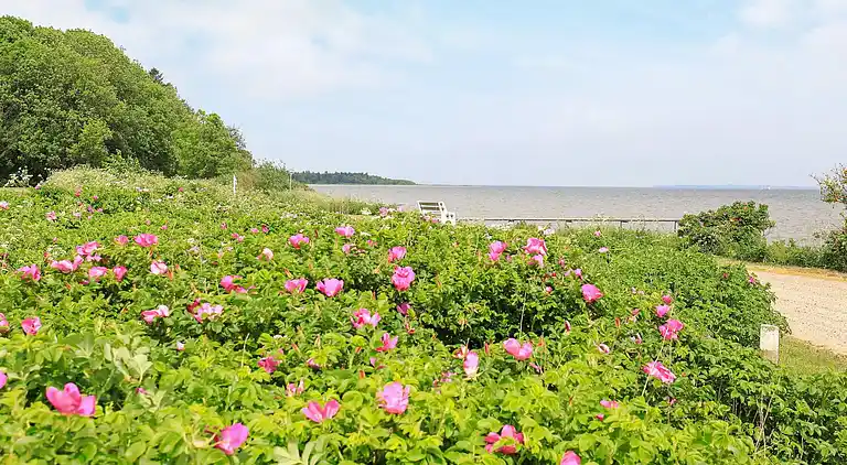 Vakantiehuis in Roslev