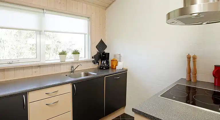 Holiday home in Thisted